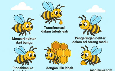 Bagaimana Cara Lebah Menghasilkan Madu?