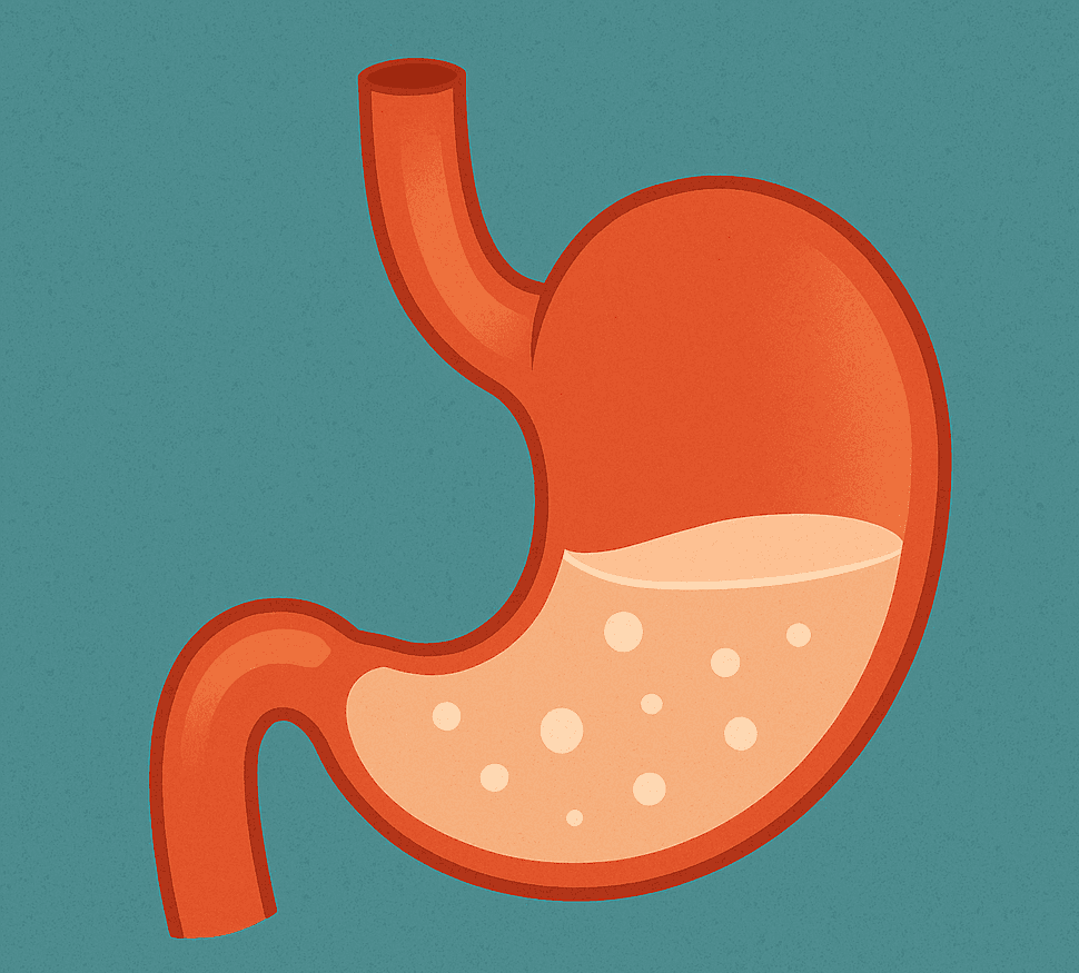 Madu dan Kesehatan Pencernaan