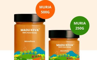 Ciri-Ciri Madu Asli & Palsu yang Perlu Diketahui